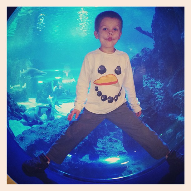 Instagram: Fishy-face James and the giant shark