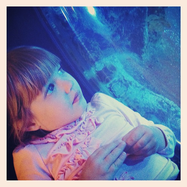 Instagram: Anna contemplating fishes…