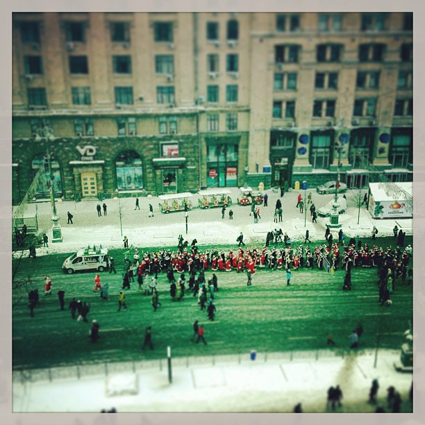 Instagram: parade of santas