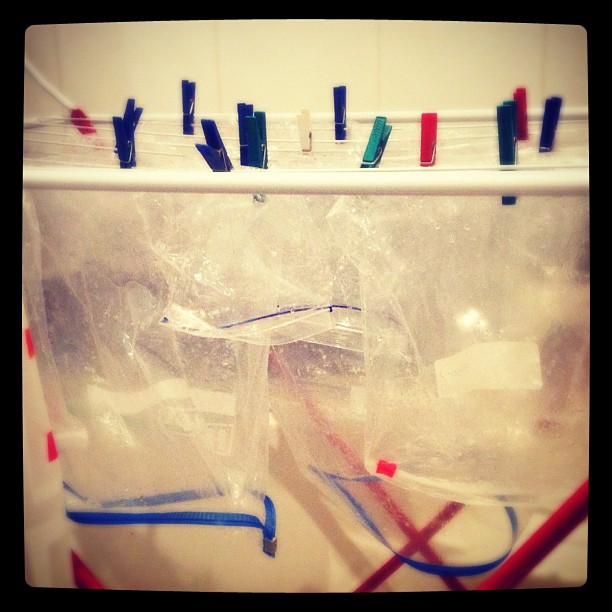 Instagram: Drying ziplocs in the tub...