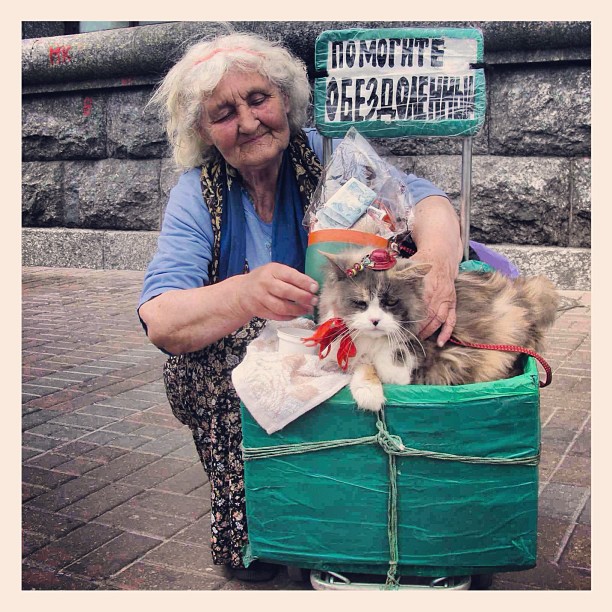 Instagram: My favorite catlady in Kyiv