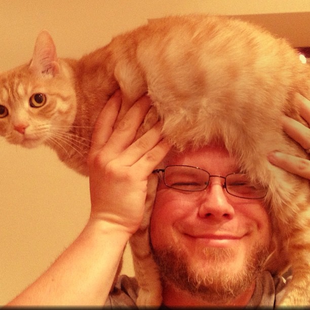 Instagram: Catfro No. 1