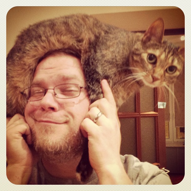 Instagram: Catfro No. 2