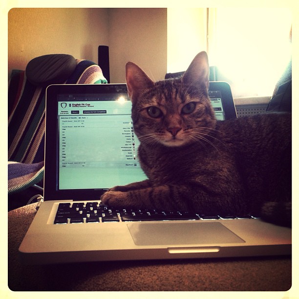 Instagram: Saturday "work"