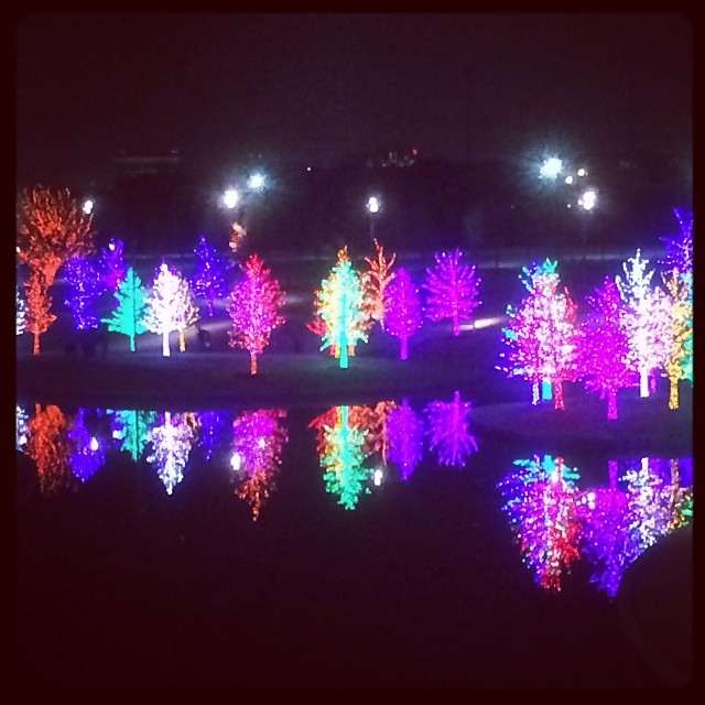 Instagram: Christmas light reflections