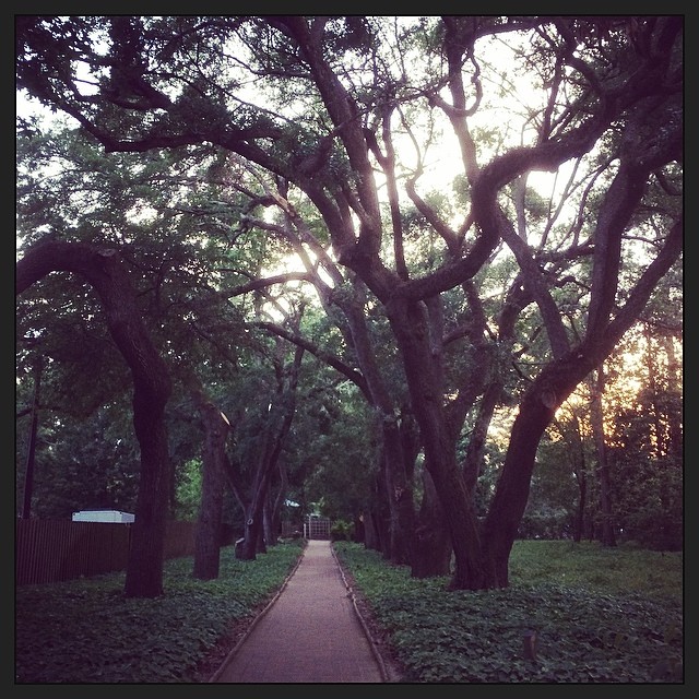 Instagram: Evening at Hopelands