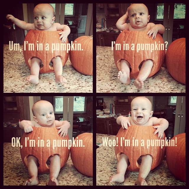 Instagram: Evolution of the happiest lil pumpkin...