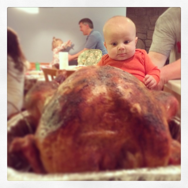 Instagram: Our two turkeys!