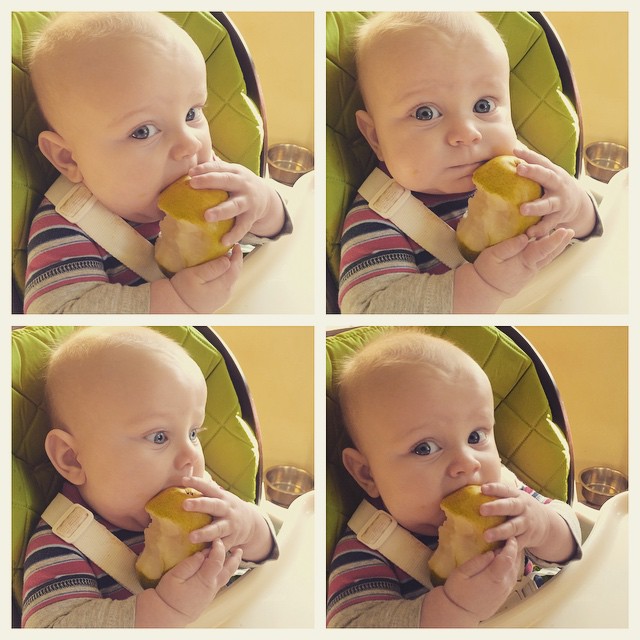 Instagram: Methinks he likes pears.