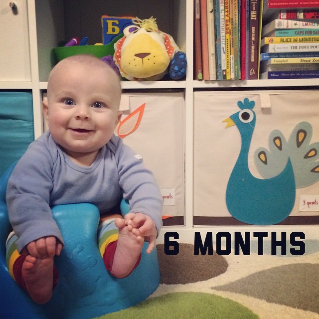 Instagram: 6 months today