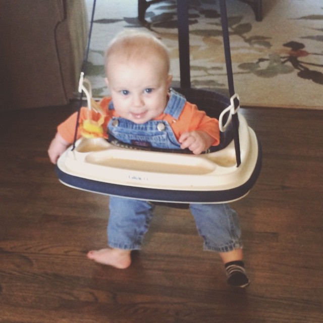 Instagram: A dose of morning cuteness…. raspberries and jumping.