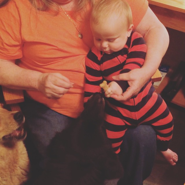 Instagram: E feeding the dog-os with Grammy D.