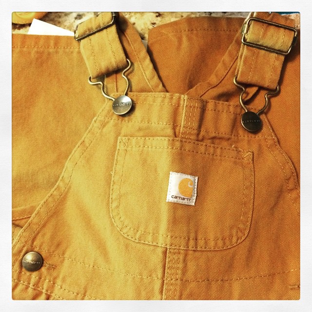 Instagram: Gonna dress like uncle E this fall. #carhartt