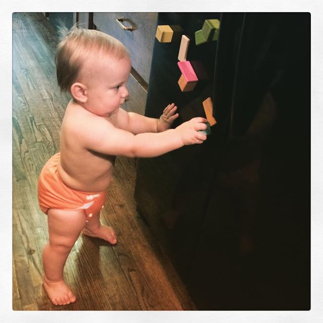 Instagram: Intense before bed #tegu play on the fridge.