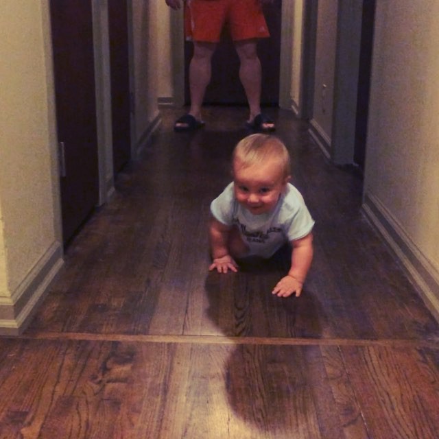 Instagram: E crawling.