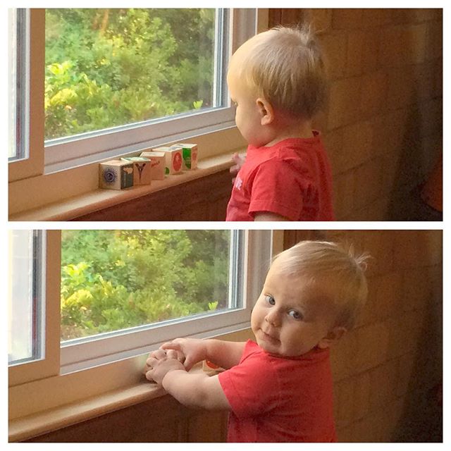 Instagram: Blocks on a windowsill. #dunbartonoaks