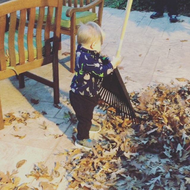 Instagram: Raking