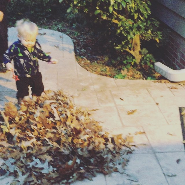 Instagram: Evening leaf "clean-up"