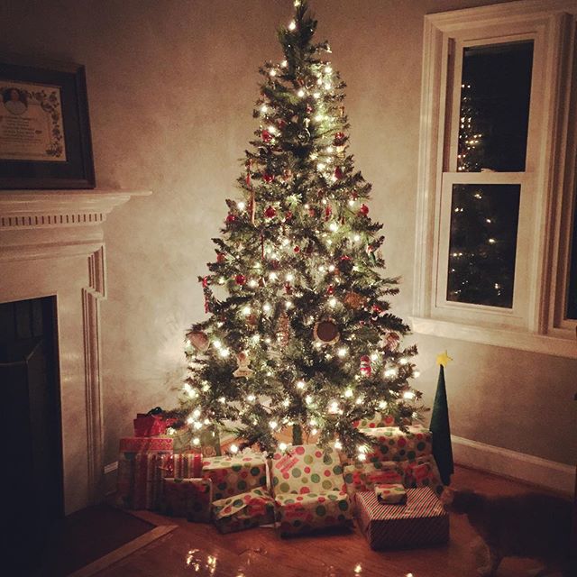 Instagram: 'Twas the night before Christmas… #Santa #catphotobomb