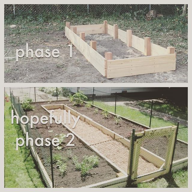 Instagram: Phase one (2016) of our raised beds, a 12'x4' bed is together, thanks to E. If we like and keep up with it, next winter, we hope to finish up with phase 2.