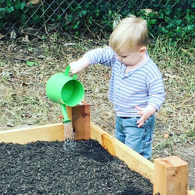 Instagram: Watering the garden.