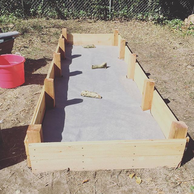 Instagram: Extra long nap for e = time to put weed barrier down in raised bed and watch the chickens play in the gorgeous weather.