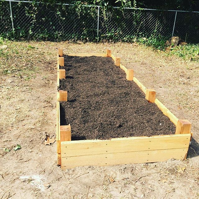 Instagram: Beautiful nursery mix from #brickofarms #vegetablegarden2016