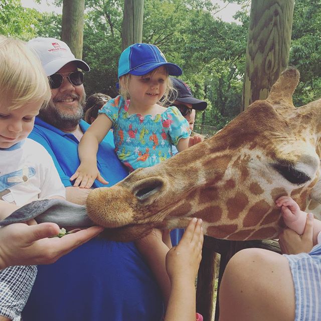 Instagram: Giraffe tongue!!