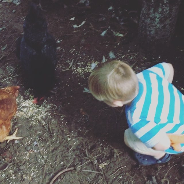 Instagram: #nationaldancelikeachickenday and some toddler "chicken calls"