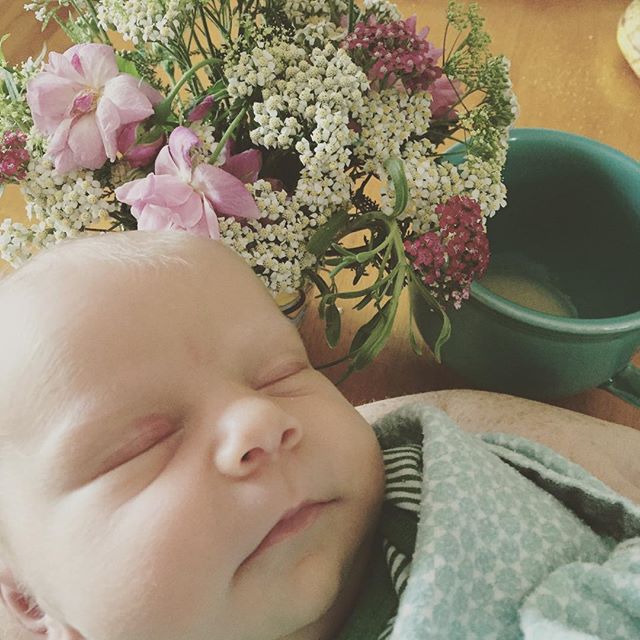 Instagram: Snuggles, tea, flowers from a neighbor. Morning.