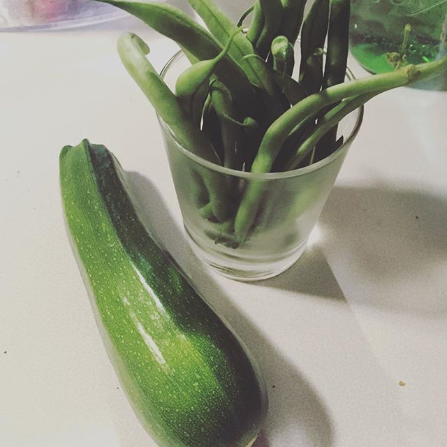 Instagram: First veggies. #garden2016