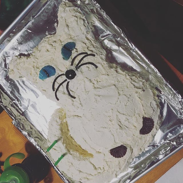 Instagram: A cat cake by Grammy for our family birthday dinner for E.