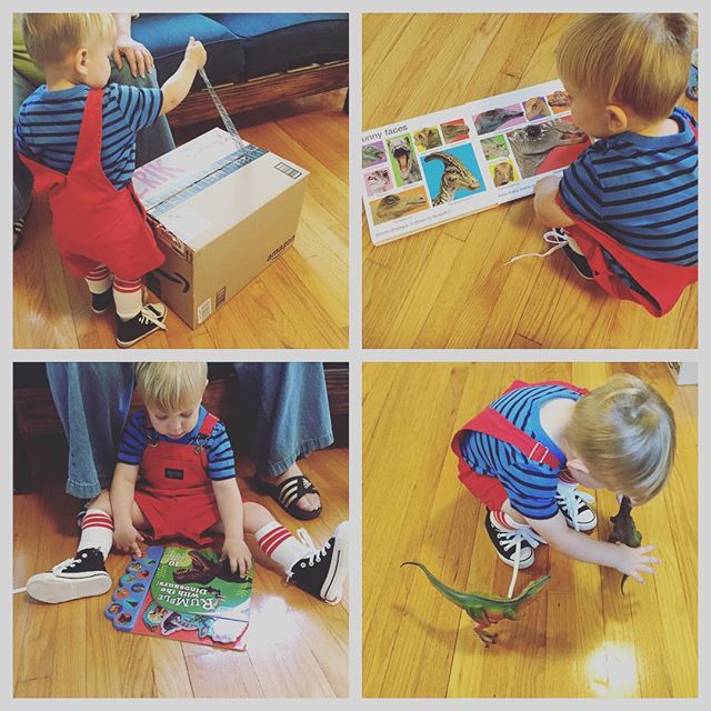 Instagram: Grammy's box of dino goodies