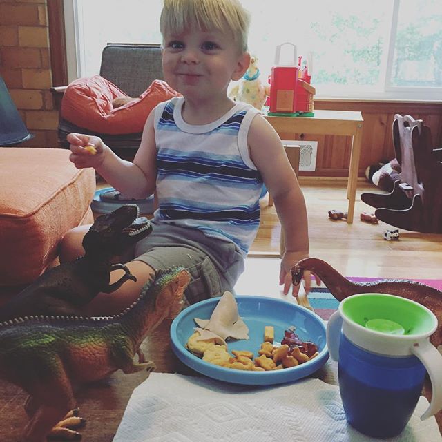 Instagram: Snacking with dinos. #chickenphotobomb