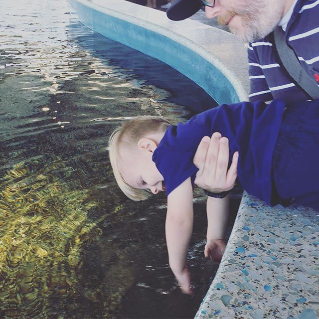 Instagram: Trying to swim with the sting rays.