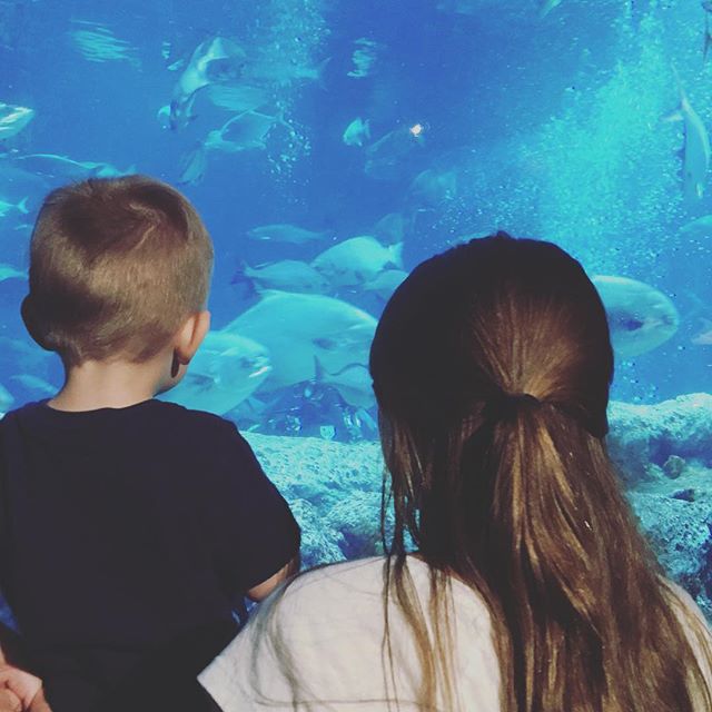 Instagram: Fish watching with his bestie.