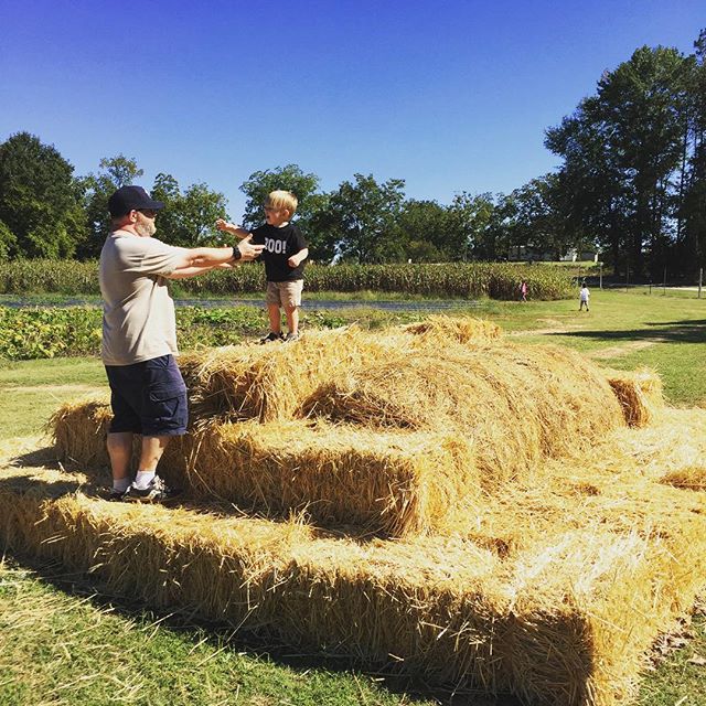 Instagram: Climbing a mountain of hay!