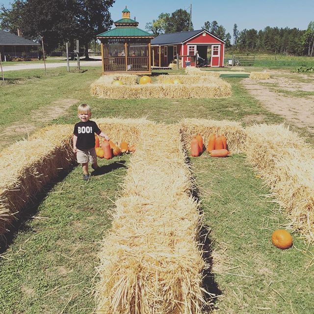 Instagram: Pumpkin bowling.