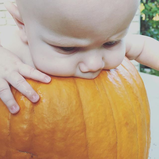 Instagram: Teething and/or baby led weaning? #blw #babyinpumpkin