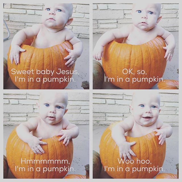 Instagram: Baby in pumpkins sequence, Anka edition. #babyinapumpkin