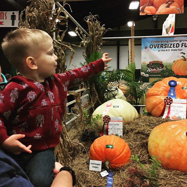 Instagram: Seriously obsessed with pumpkins.#toddlerobsession