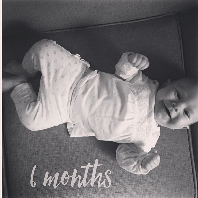 Instagram: Chickadee is growing fast. 6 months already.