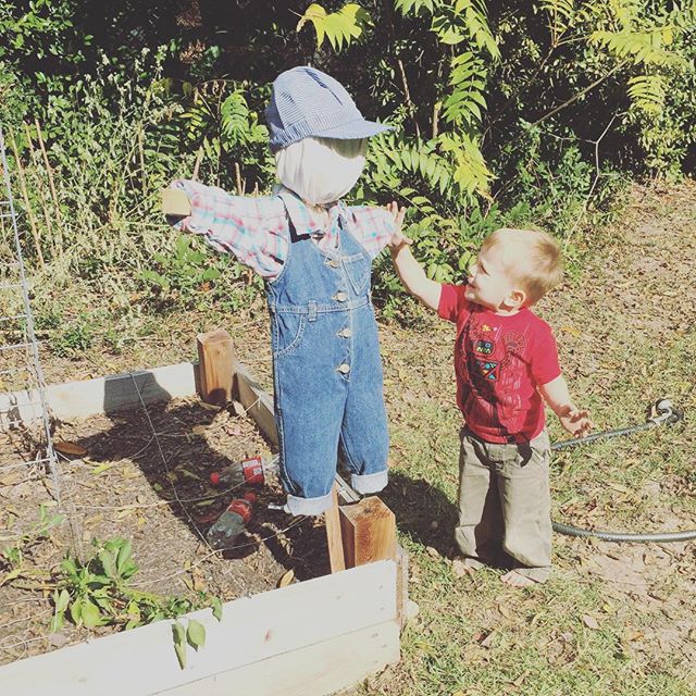 Instagram: High-fiving scarecrow.