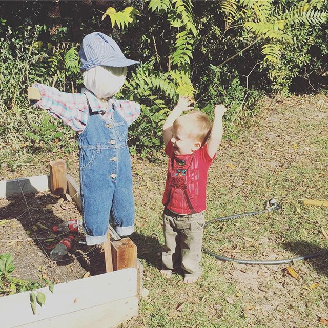 Instagram: Yay! Scarecrow!