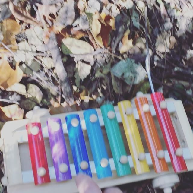 Instagram: The gals are too busy free-ranging to play the xylophone. #grateful #chickensofinstagram