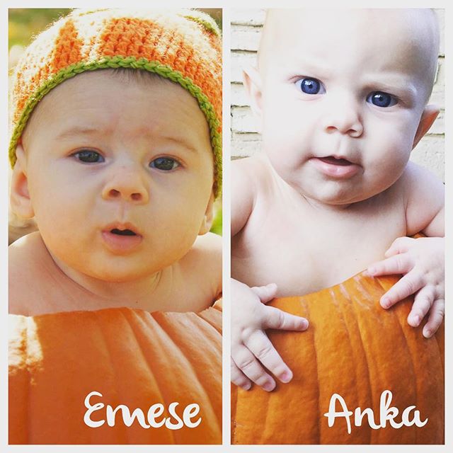 Instagram: Best friend babies in pumpkins. For Jenny Ball