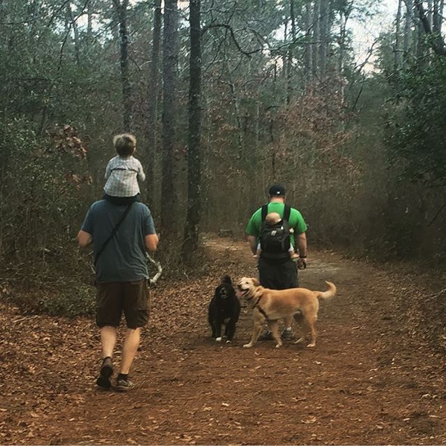 Instagram: A walk in the woods with my favorite people.