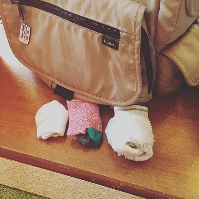 Instagram: Emergency socks (family edition). Catalogued while cleaning out the car and purse. For @ambersmith7017